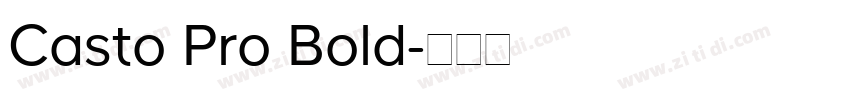 Casto Pro Bold字体转换